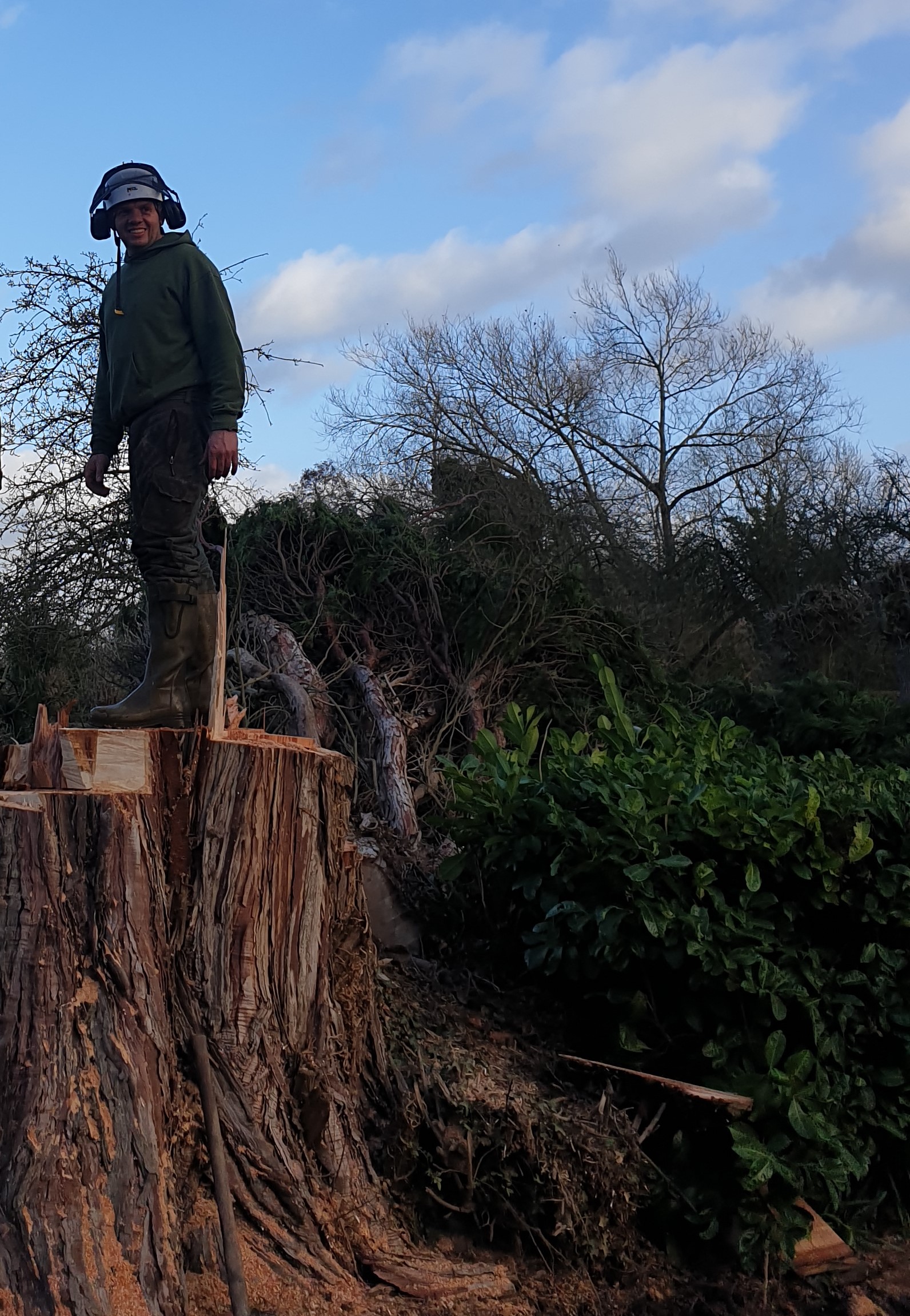 Gareth stood on large tree stump