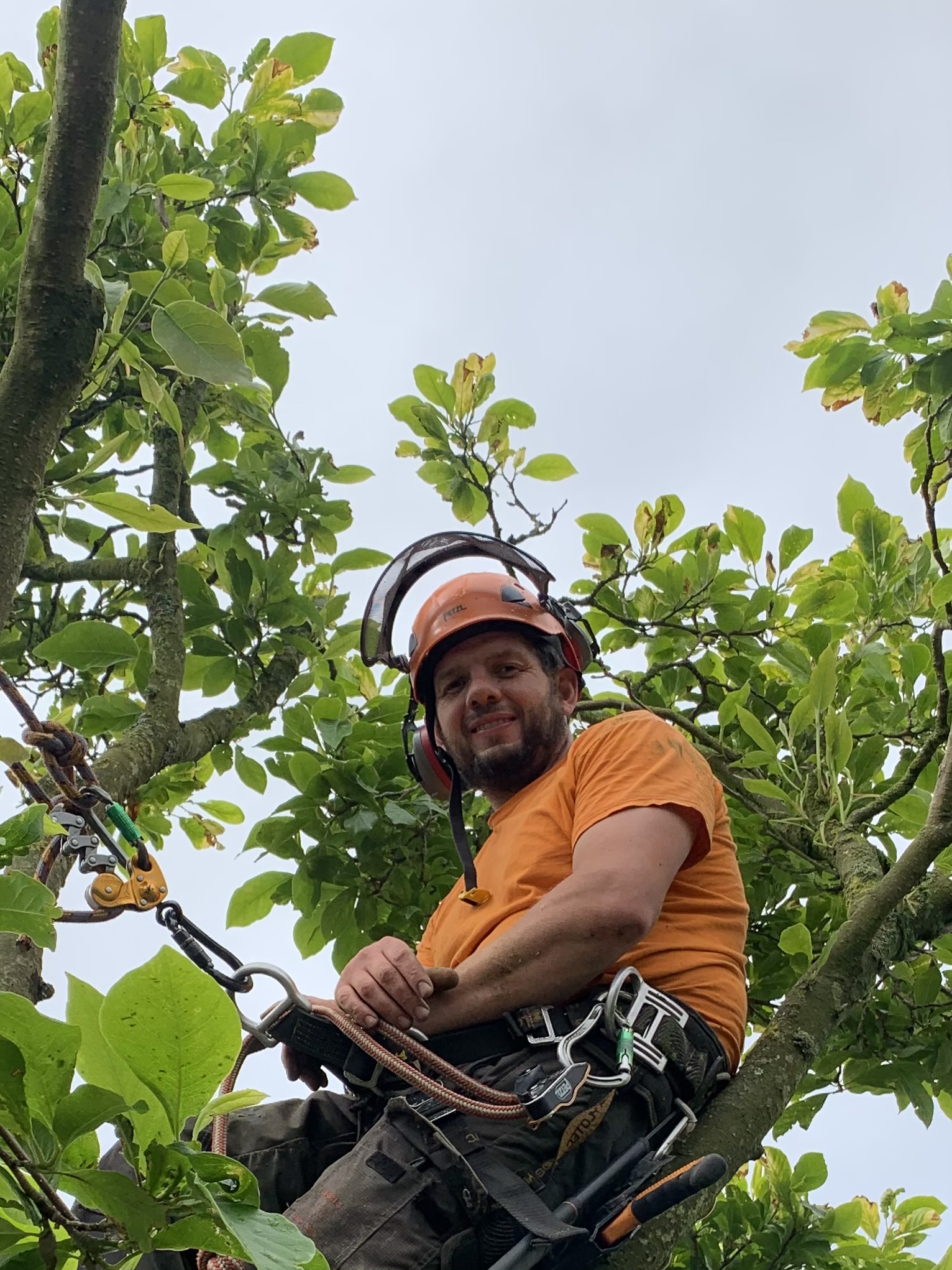 Gareth in tree