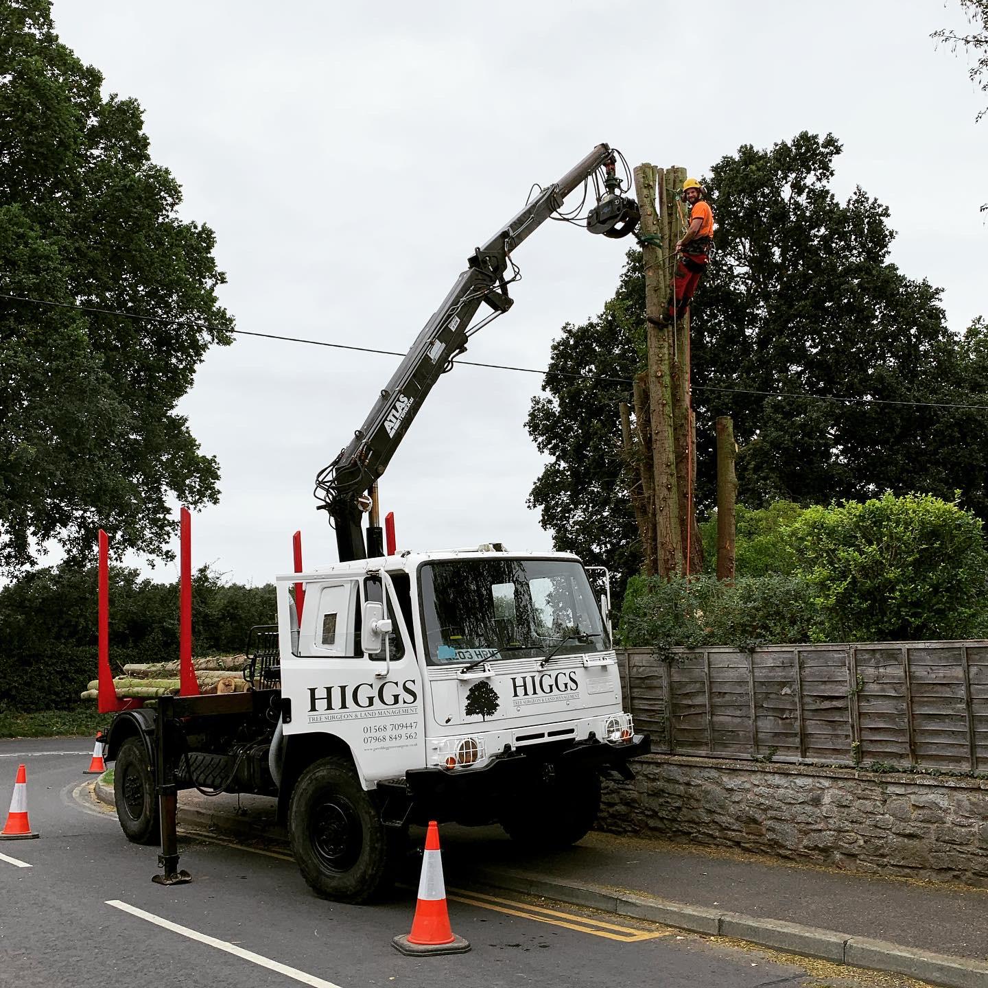 lorry clearing up dismantled conifer with grab