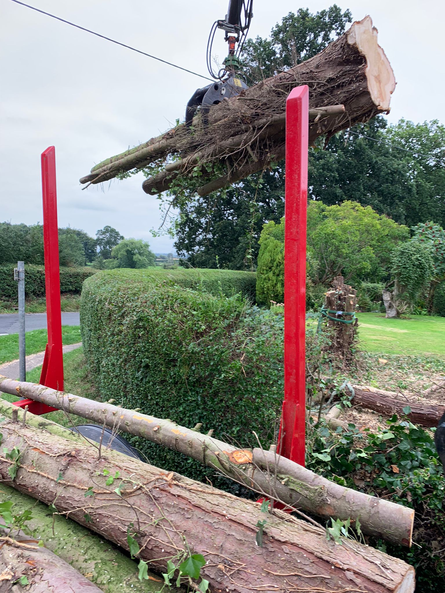 lorry loading large trunk onto lorry bed